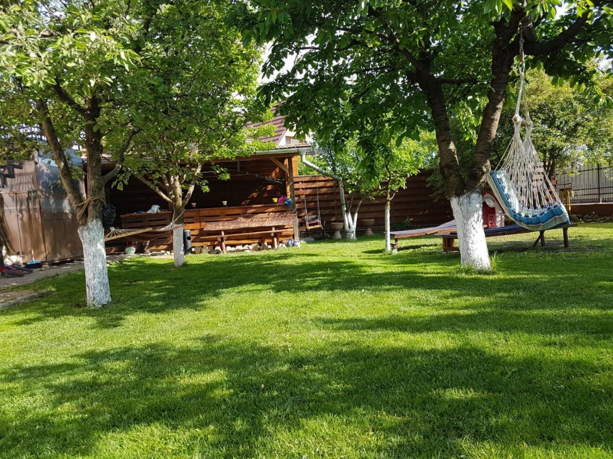 Sport Hostel Cluj Luaran gambar