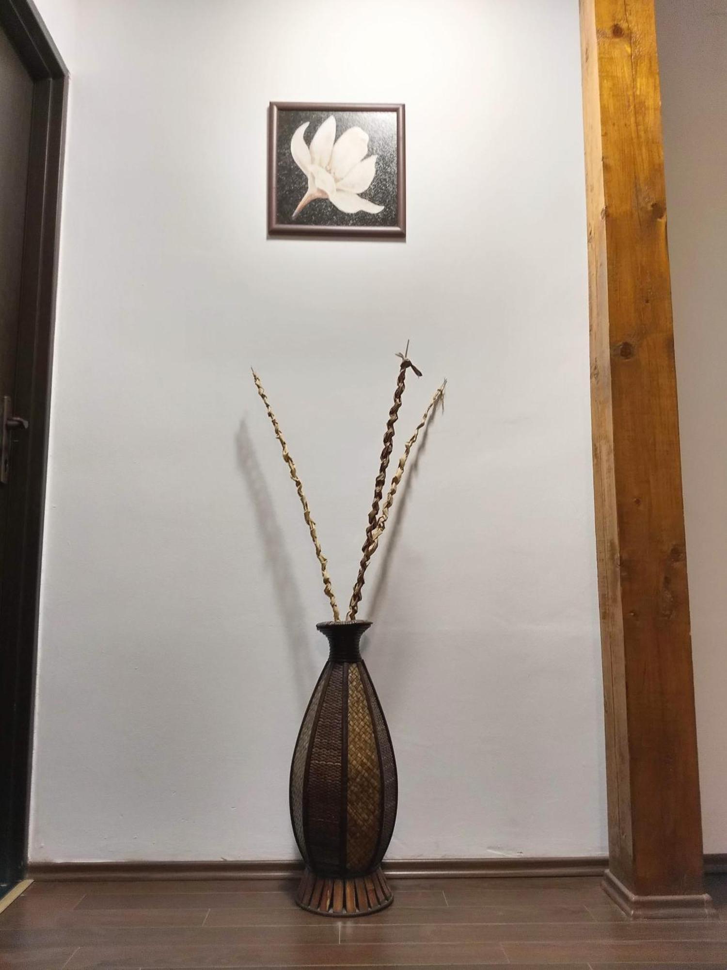Sport Hostel Cluj Luaran gambar