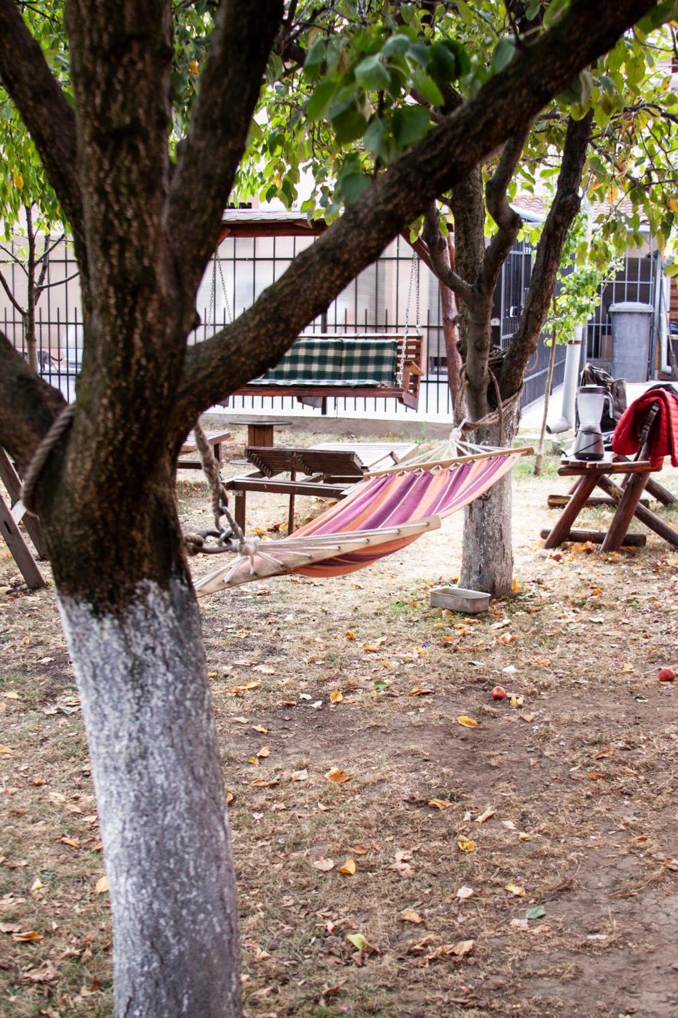 Sport Hostel Cluj Luaran gambar