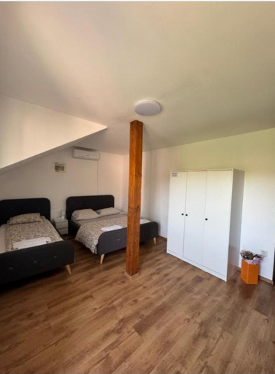 Sport Hostel Cluj Luaran gambar